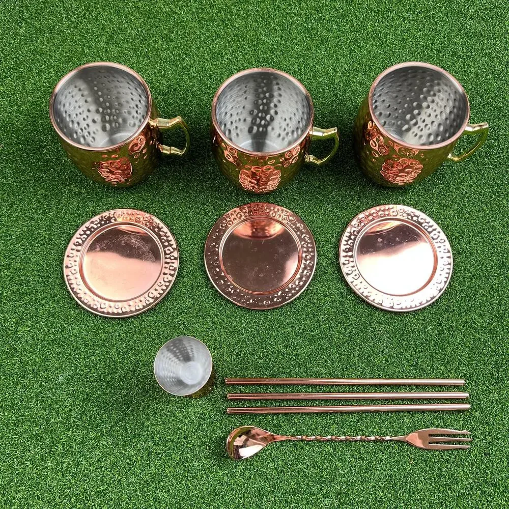 Echtwerk Moscow Mule Stainless Steel Copper Plated Cocktail Bar Set